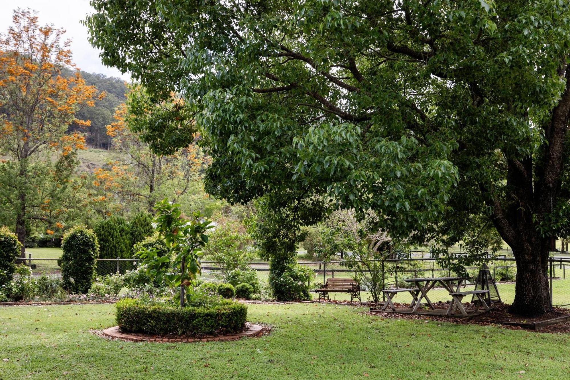 Cottage On Lamington Canungra المظهر الخارجي الصورة